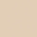 301n Light Beige