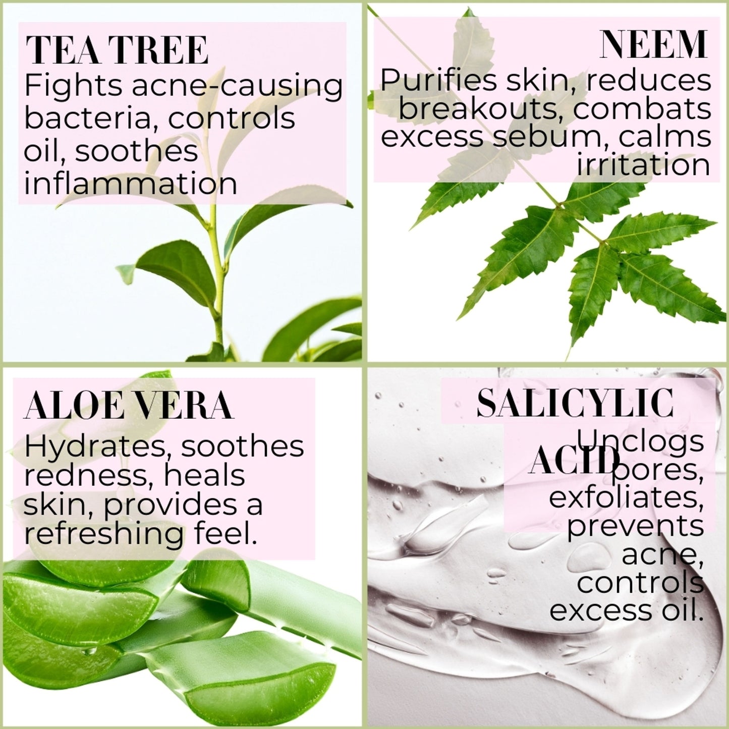 Baes Club Tea Tree, Neem & Aloe Vera Face Wash With Vitamin E For Acne & Oil Control Unisex