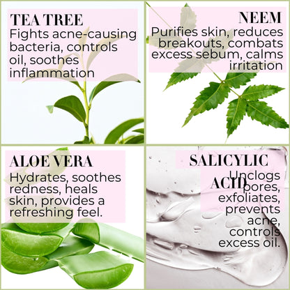 Baes Club Tea Tree, Neem & Aloe Vera Face Wash With Vitamin E For Acne & Oil Control Unisex