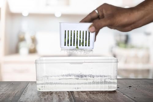 HomeWiz Fridge Storage Containers 2000ml 4-Grid