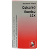Dr. Reckeweg Calcarea Fluorica Biochemic Tablet