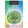TE-A-ME Assorted Ice Infusion Tea Bags, 5 Delicious Flavor