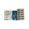 Rajasthan Herbals Rajortho Tablets