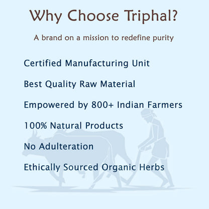 Triphal Triphal Black Himej Choti Harad Powder in a container, Ayurvedic herbal powder with traditional black Harad for health benefits