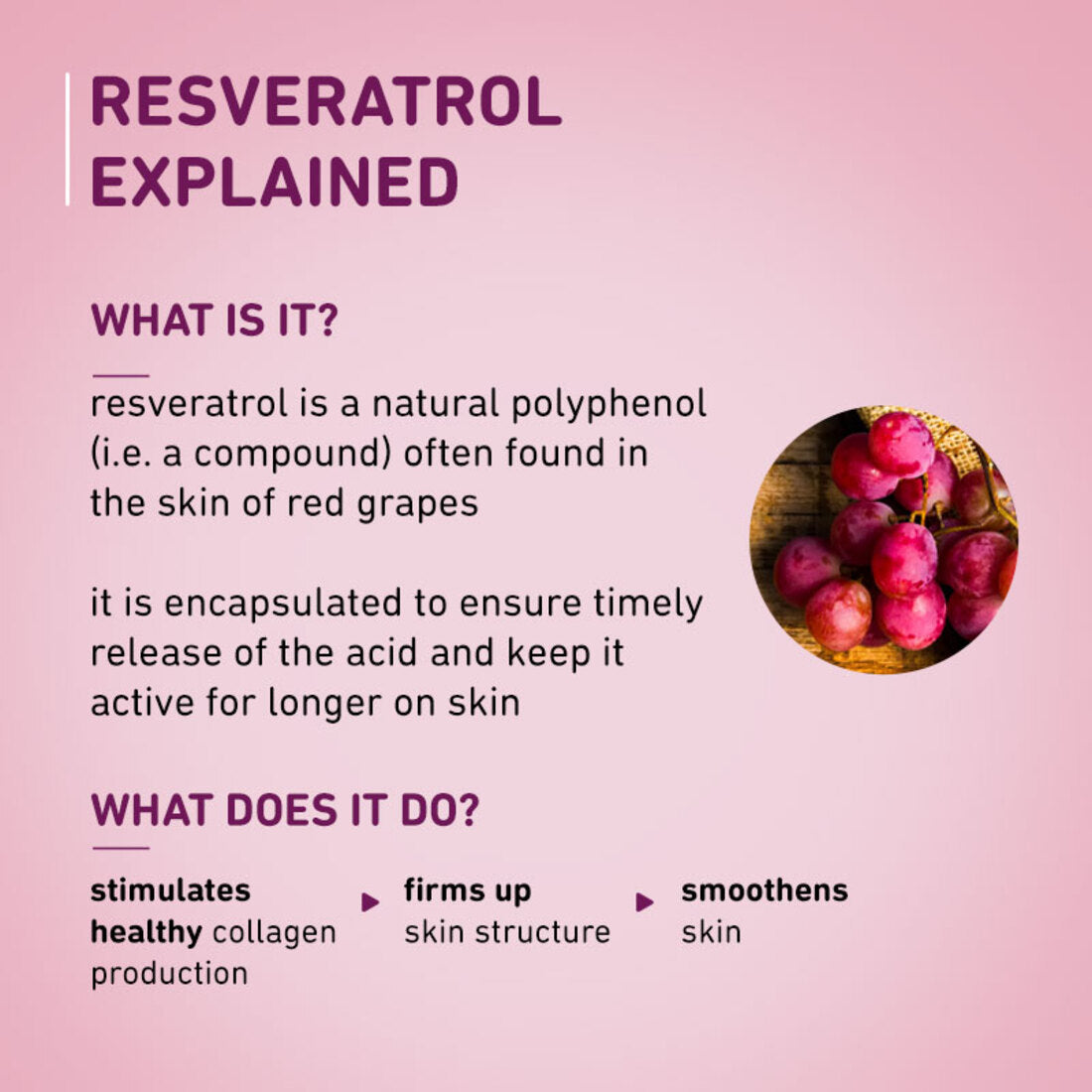 Plum Goodness 1% Resveratrol & Vitamin C Youthful Glow Moisturizer