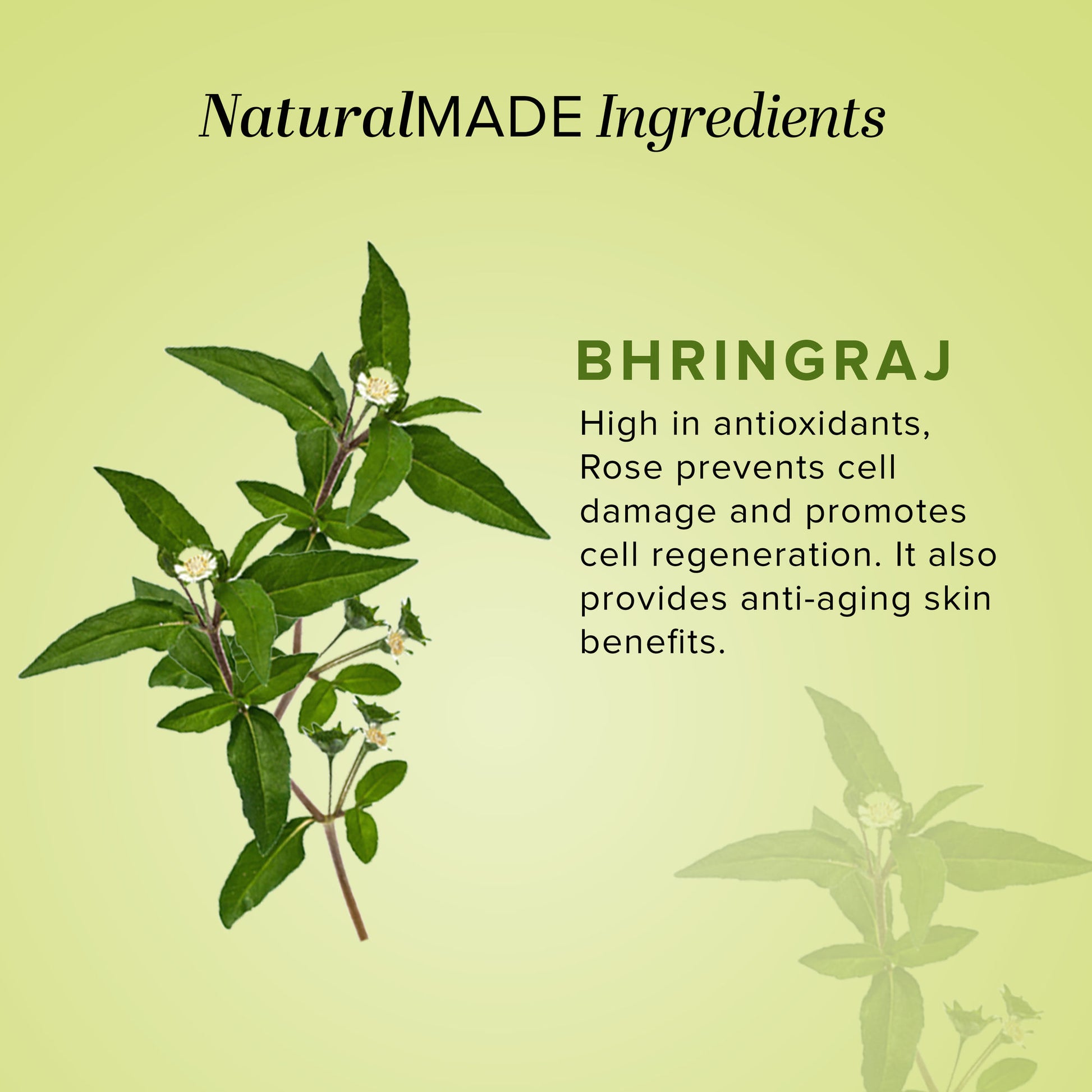 Khadi Natural Bhringraj Hair Oil Nourishes Hair Roots