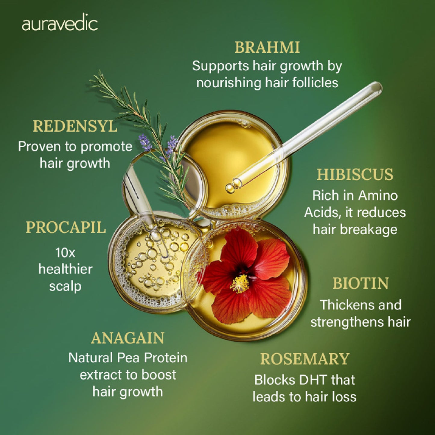 AuraVedic Rosemary Hair Growth Serum with 2% Anagain 3% Redensyl 3% Procapil Caffeine Biotin
