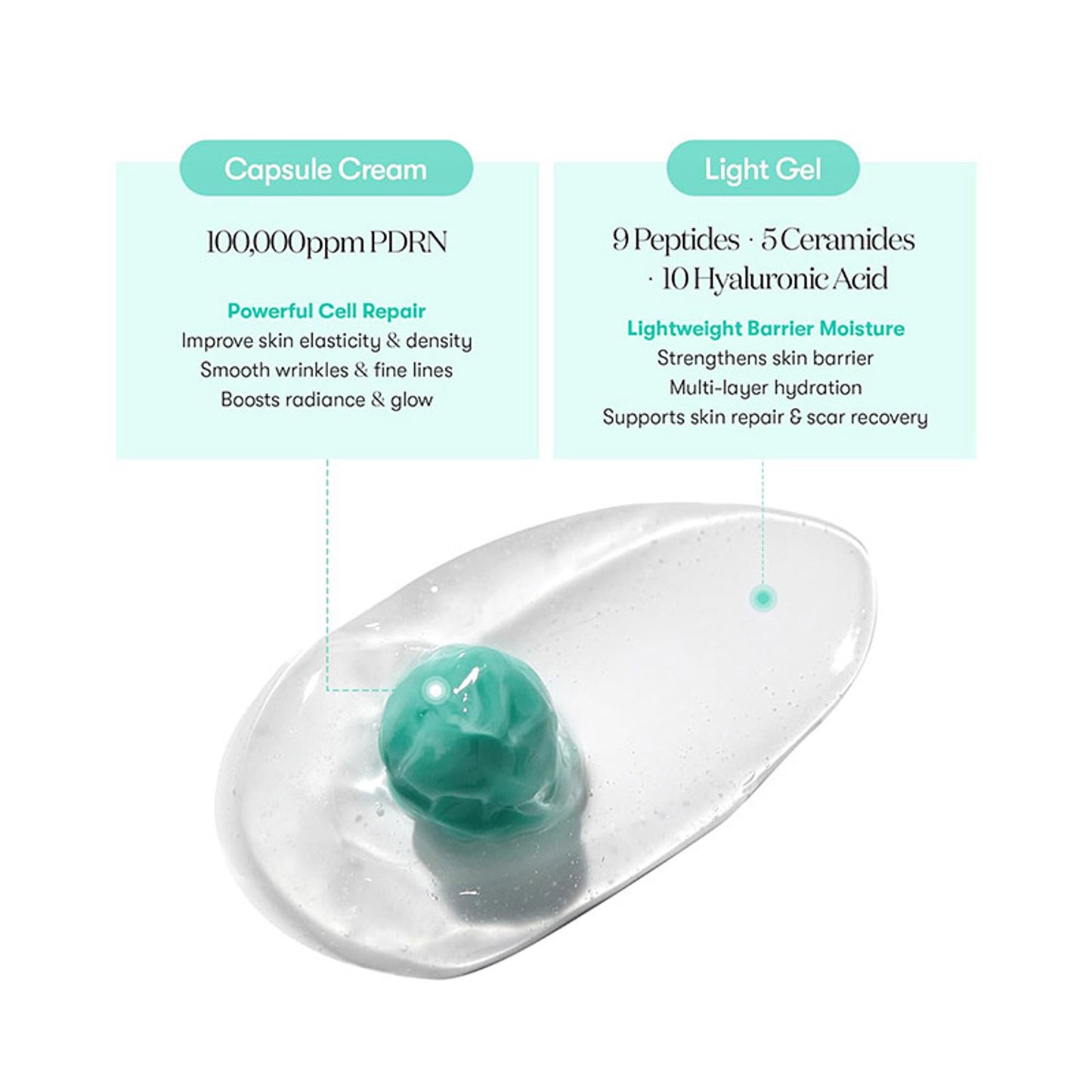 VT Cosmetics PDRN Capsule Cream