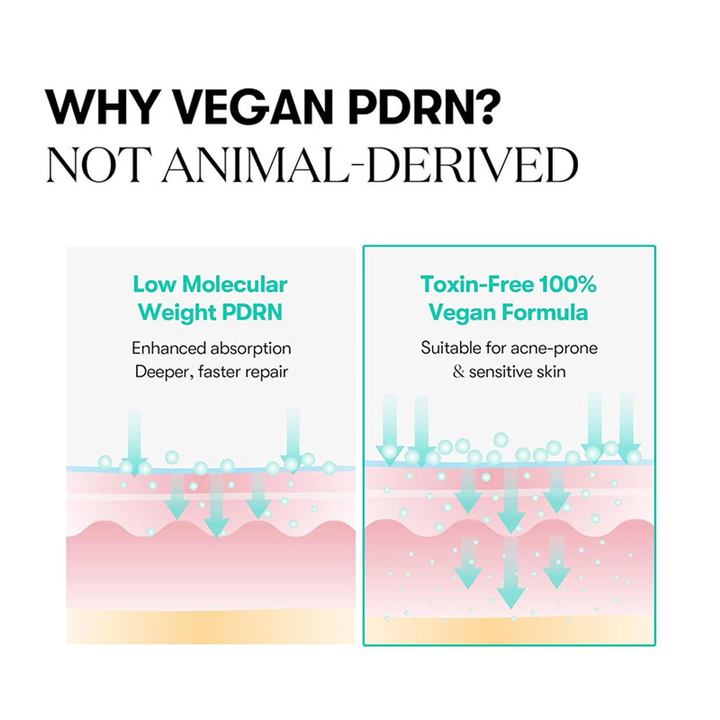 VT Cosmetics PDRN Capsule Cream