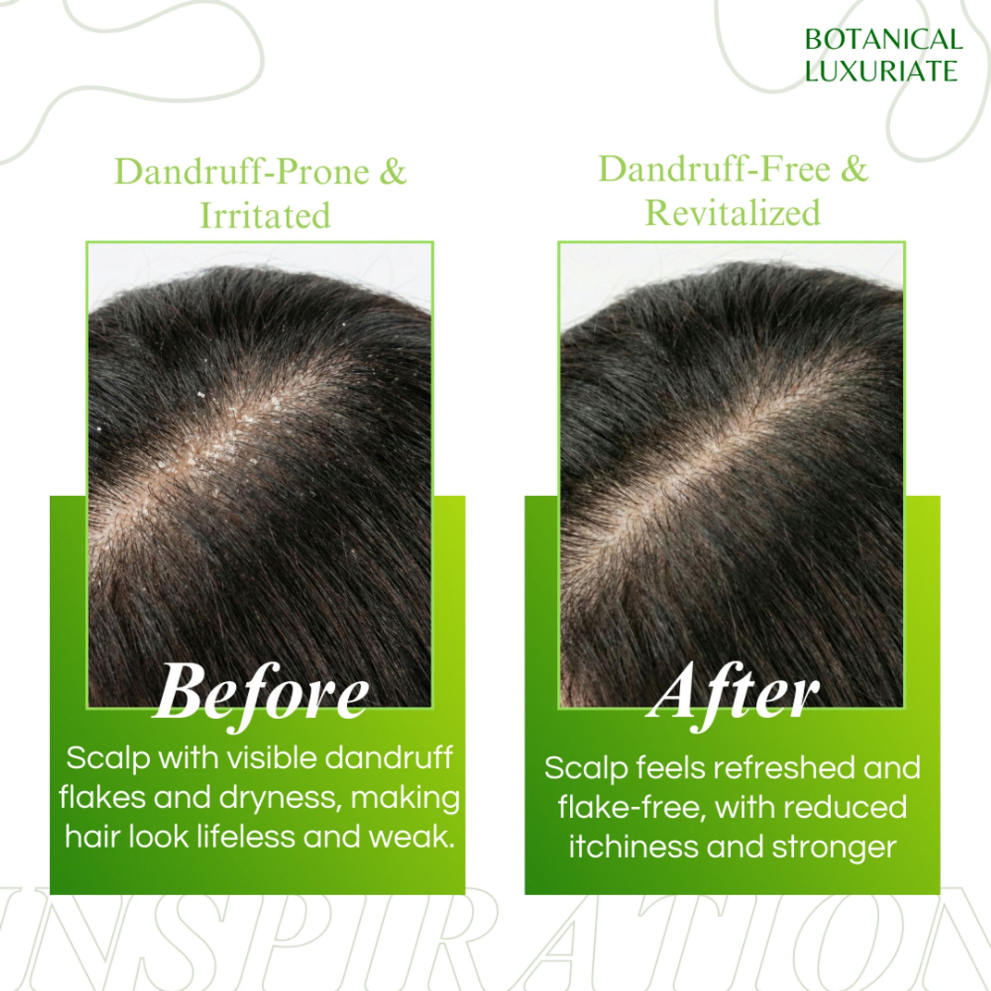 Botanical Luxuriate Amla And Rosemary Shampoo