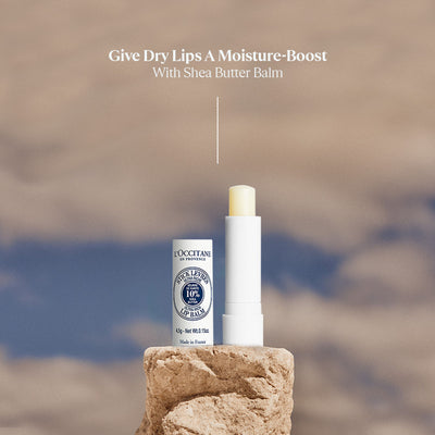 L'Occitane Shea Butter Ultra Rich Lip Balm