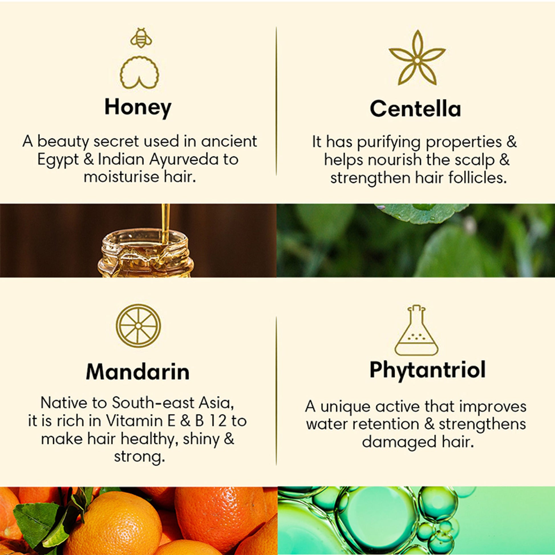 The Earth Collective Hair Cleanser For Dry & Damaged Hair