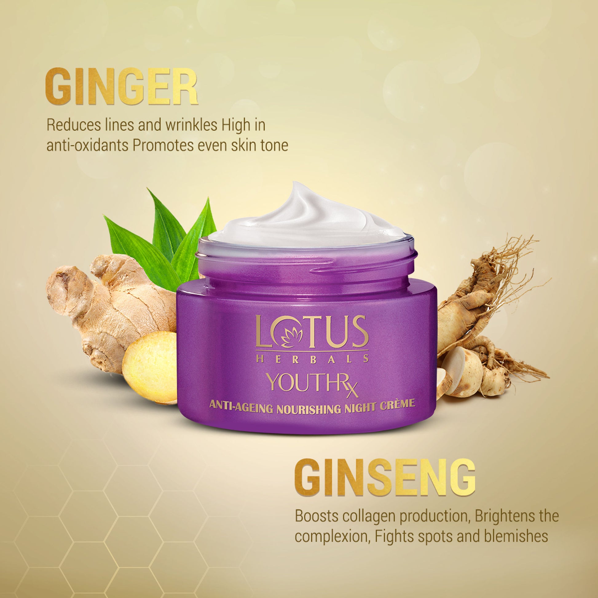 Lotus Herbals YouthRx Anti-Ageing Nourishing Night Face Cream,Reduces Fine Lines For All Skin Types