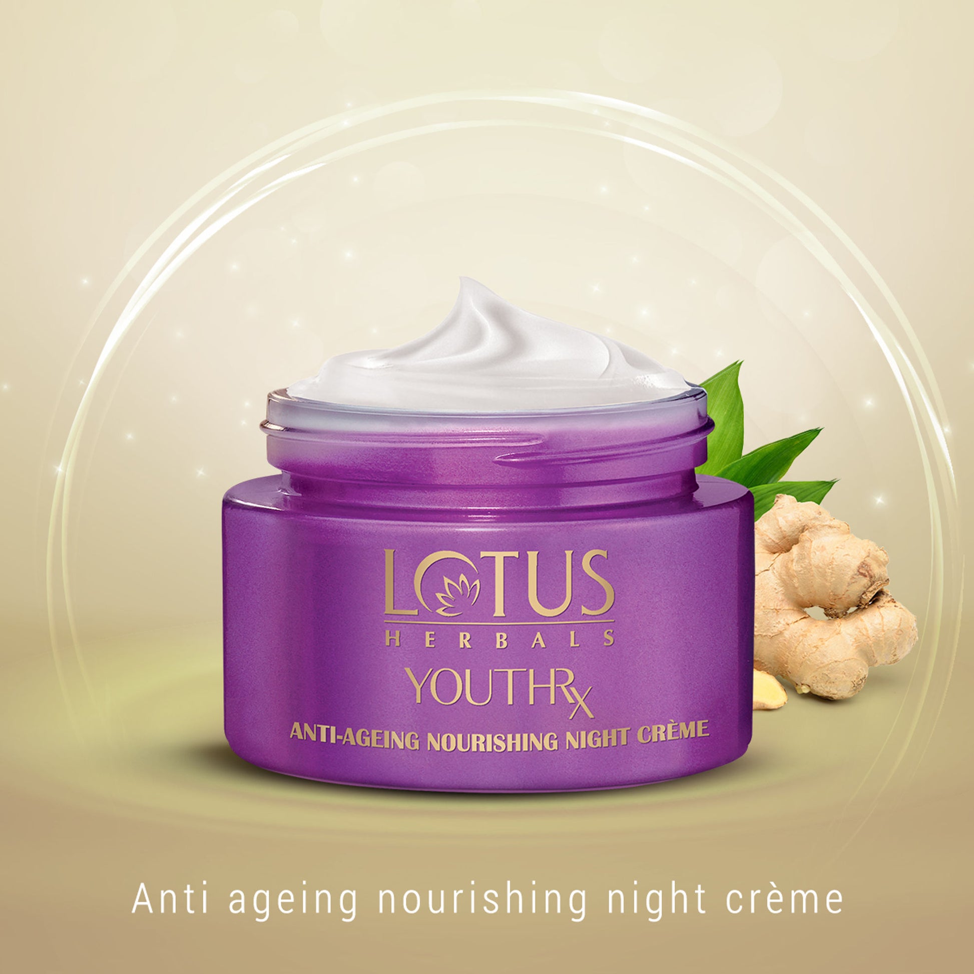 Lotus Herbals YouthRx Anti-Ageing Nourishing Night Face Cream,Reduces Fine Lines For All Skin Types