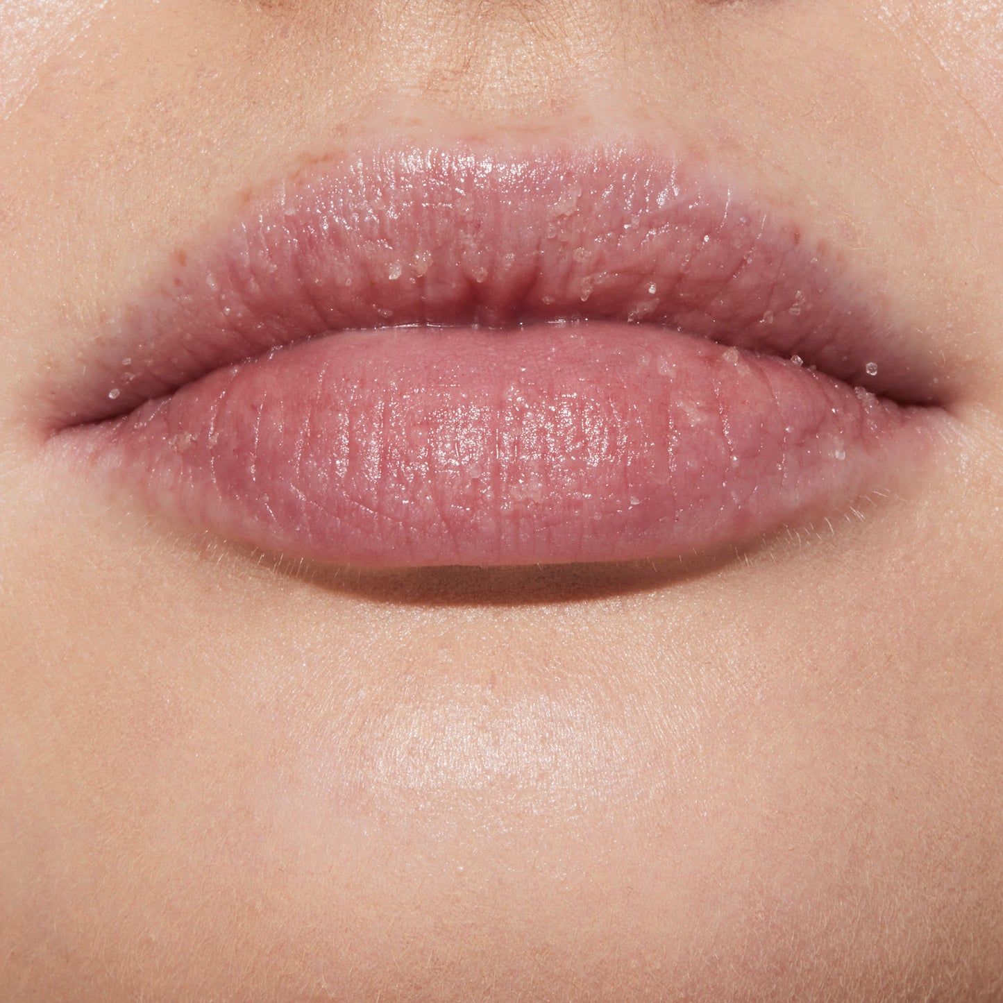 e.l.f. Cosmetics Lip Exfoliator - Orange Creamsicle