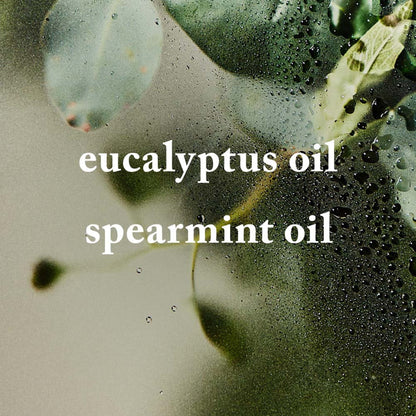 Bath & Body Works Eucalyptus Spearmint Bath Fizzy