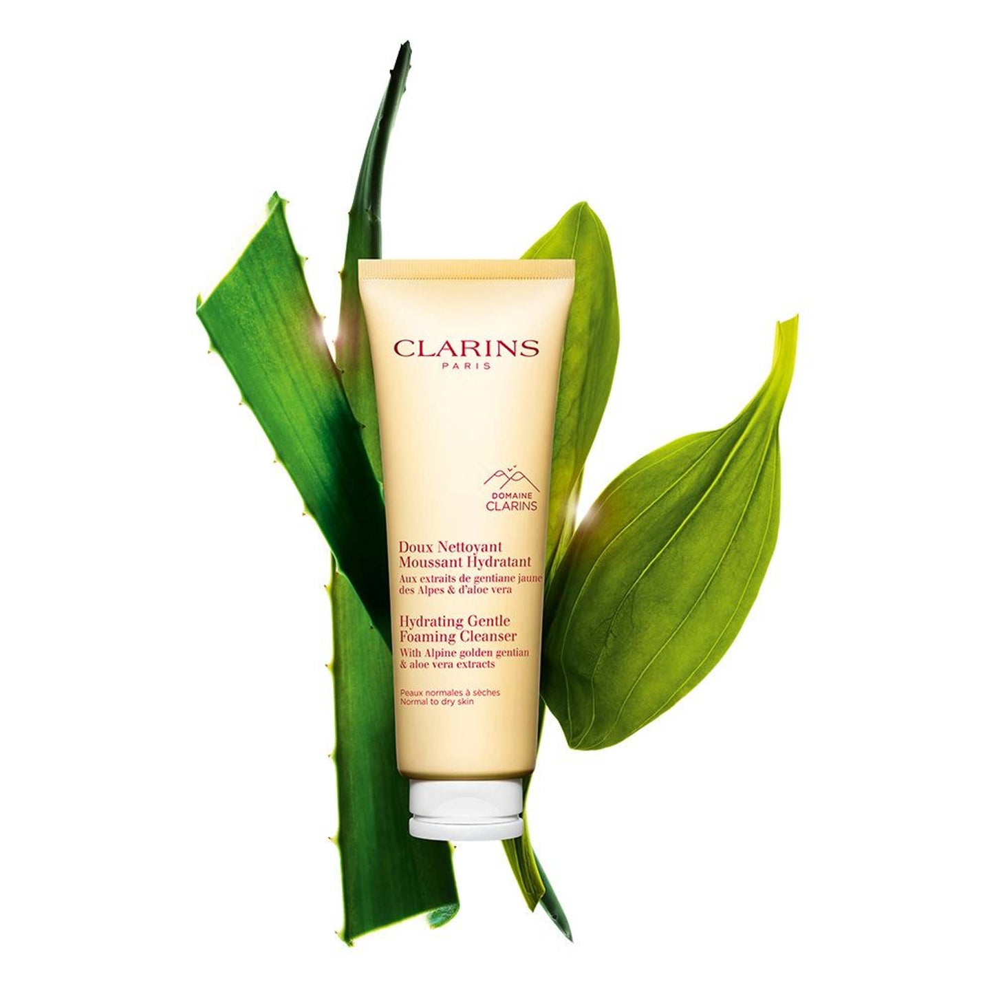 Clarins Gentle Foaming Cleanser Hydrating