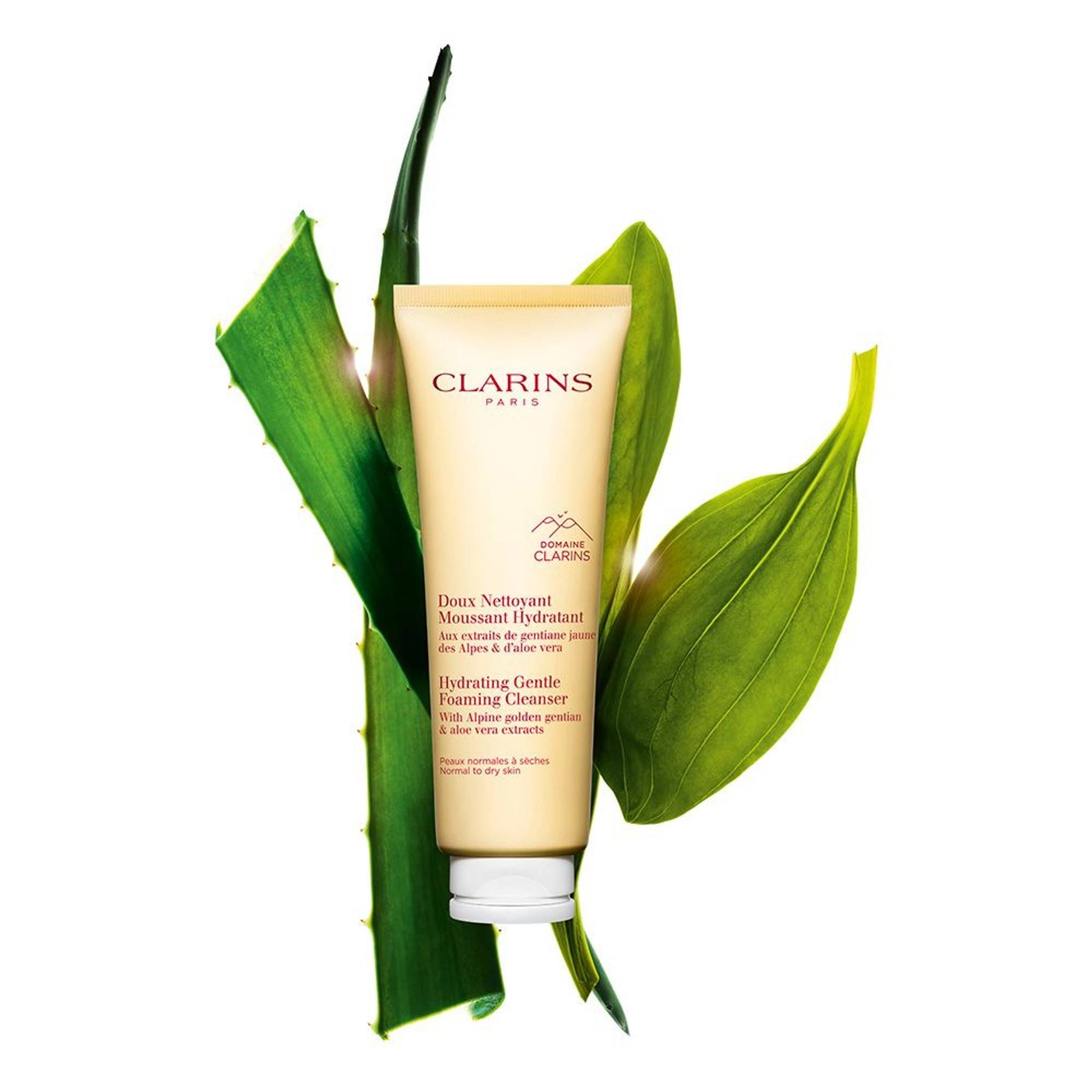 Clarins Gentle Foaming Cleanser Hydrating
