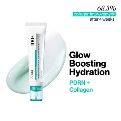 Anua PDRN Hyaluronic Acid 100 Moisturizing Cream