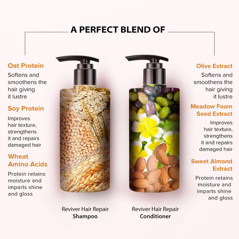 De Fabulous Reviver Hair Repair Shampoo and Conditioner combo bottles, nourishing hair care products for damaged hair.