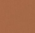 12 Tan Cool