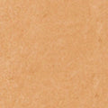 Medium Neutral