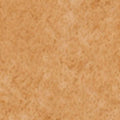 Medium Warm