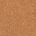 Tan Neutral Warm