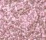 Pop Off Pink