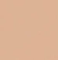 25 Light Neutral