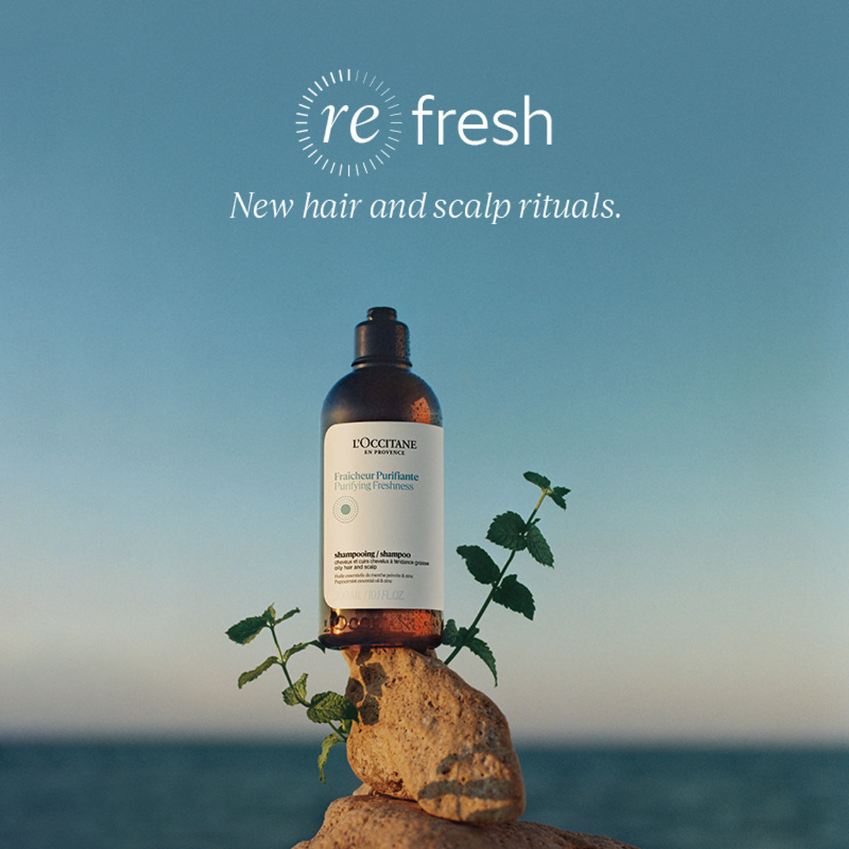 L'Occitane Purifying Freshness Shampoo