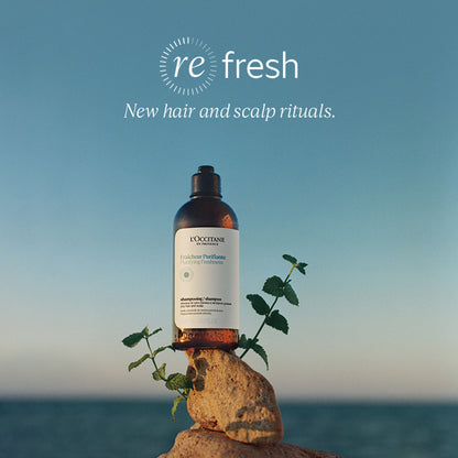 L'Occitane Purifying Freshness Shampoo