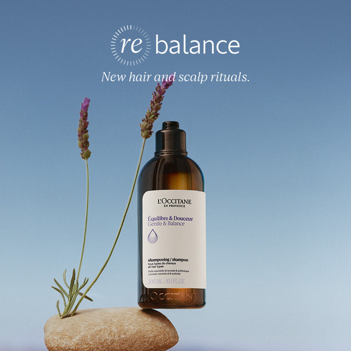 L'Occitane Gentle & Balance Micellar Shampoo