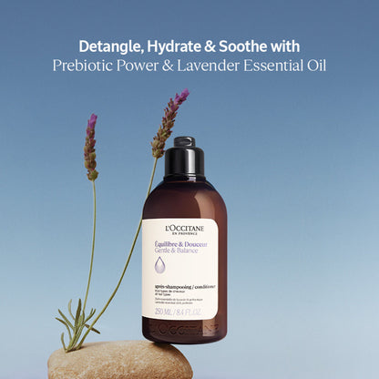 L'Occitane Aromachologie Gentle & Balance Conditioner
