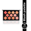 PAC Take Cover Blusher X11 - Micro Fine Pigments, Blends Effortlessly, 8 Matte & 3 Shimmer Shades