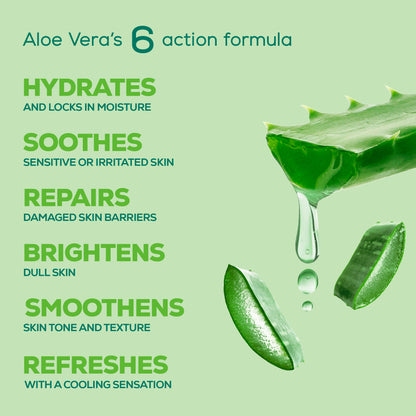 Joy Pure Aloe Vera Body Lotion, Lightweight 48hr Moisturization for Normal & Oily Winter Skin
