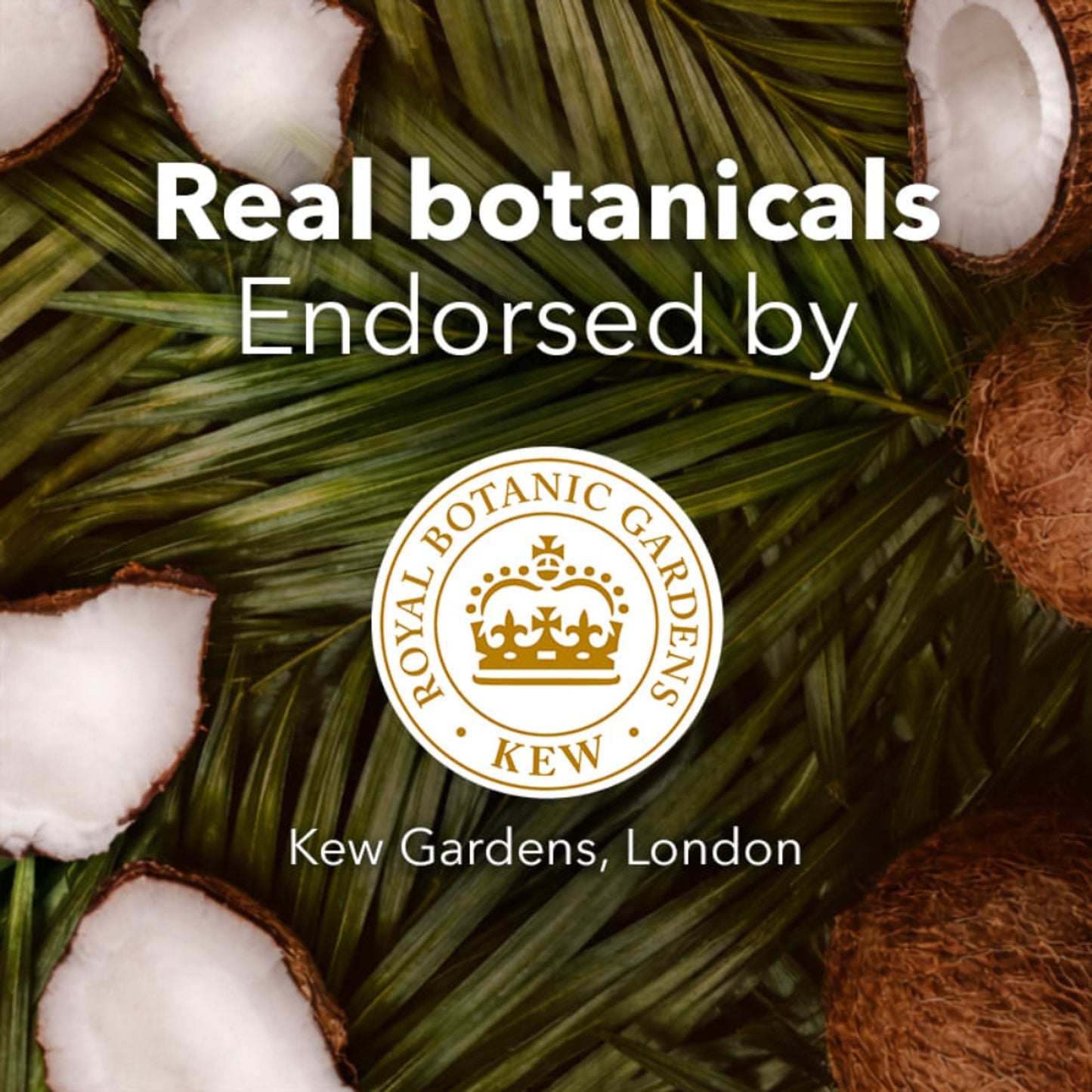 Herbal Essences Bio Renew Hydrate Coconut Milk Conditioner