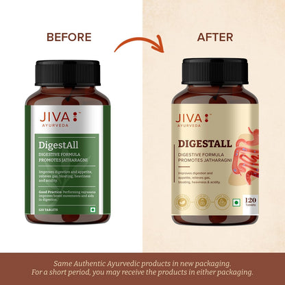 Jiva Ayurveda Digestall Tablets