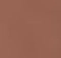 Sandy Beige