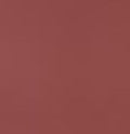 Rusty Pink