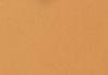 Creme Caramel 355N