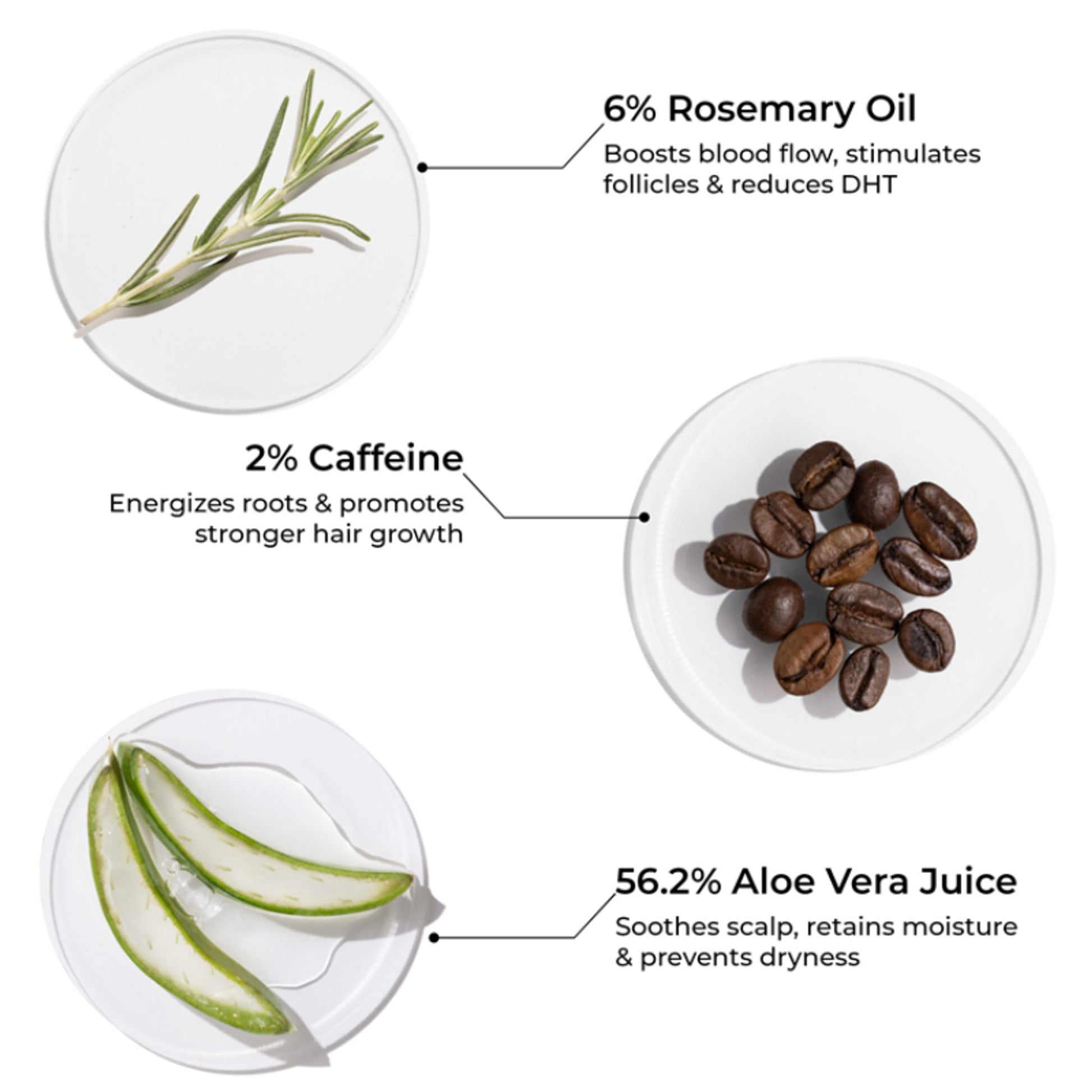 Brillare 6% Rosemary Shampoo with 2% Caffeine for Hair Growth & Hair Fall Control