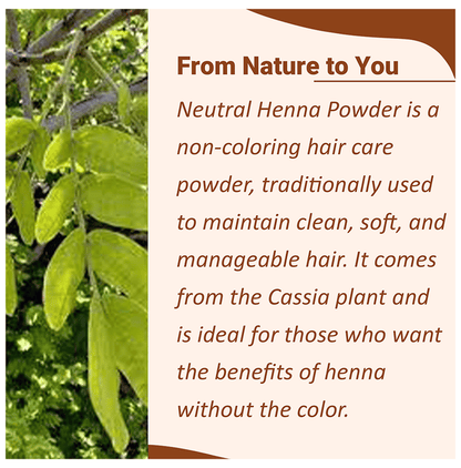 Minature Neutral Henna Powder for hair masks, fine greenish powder in a bowl, natural hair treatment product.