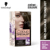 Schwarzkopf Colour Specialist Permanent Hair Colour - 6.0 Natural Light Brown