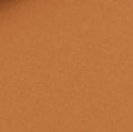 Warm Beige