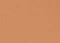 Warm Nude