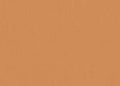 Golden Beige