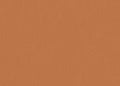 Warm Beige