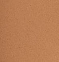 Warm Beige