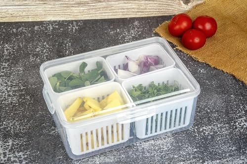 HomeWiz Fridge Storage Containers 2000ml 4-Grid